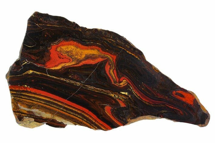Polished Tiger Iron Stromatolite - Billion Years #129214